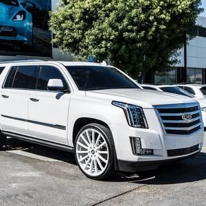 Meet your Posher, Johnny